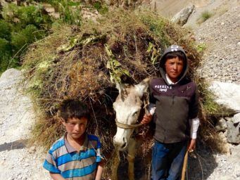 Boys with Donkey in the Fann Mountains