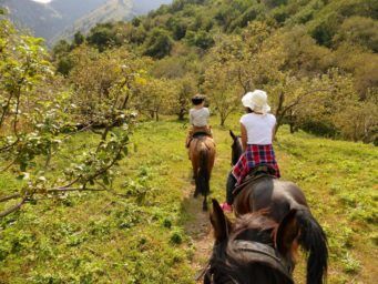 Horse Riding in Apple Fields near Almaty kazakhstan