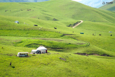 yurts in green pasture